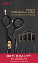 RED PROFESSIONAL HAIR SHEAR BANNER